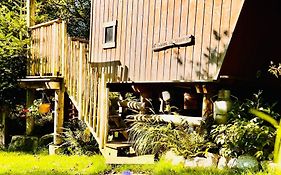 La cabane perchée du trappeur